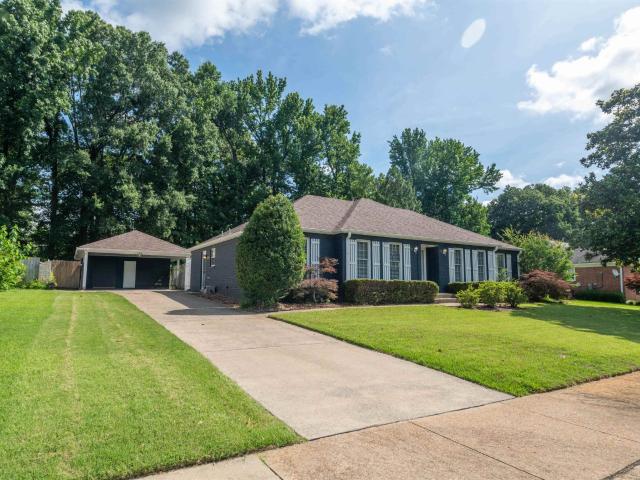 6102 sugar tree dr