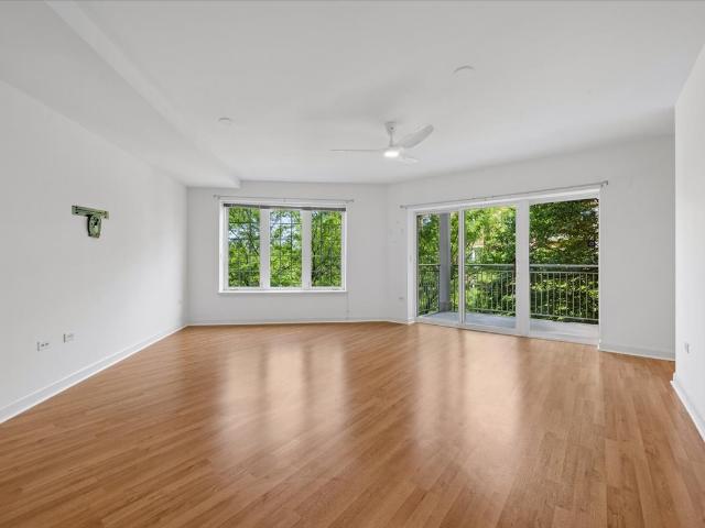 610 Robert York Avenue # 202