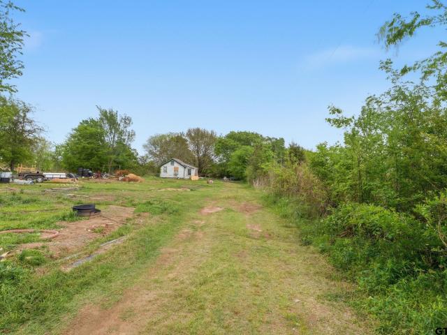 612 VZ County Rd, Ben Wheeler, TX 75754 | MLS #26004