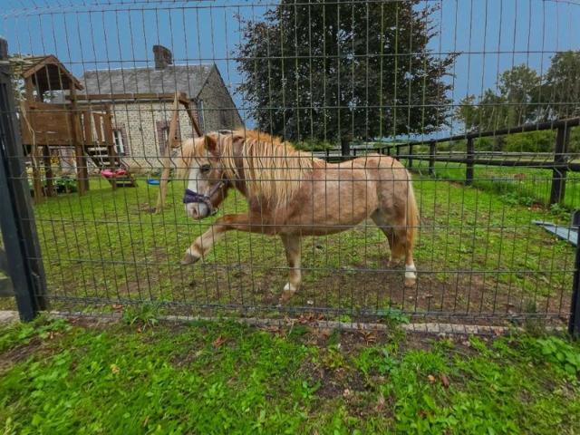 61390 BRULLEMAIL maison 140 m² plus maisonnette 50 m² sans travaux, terrain 28.284 m