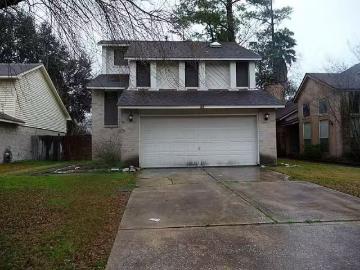 Atascocita Forest, Atascocita, Harris County, Texas, Texas, USA