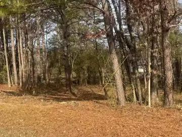 619 SKYVIEW LAKE RD # 619, WARRIOR, AL 35180