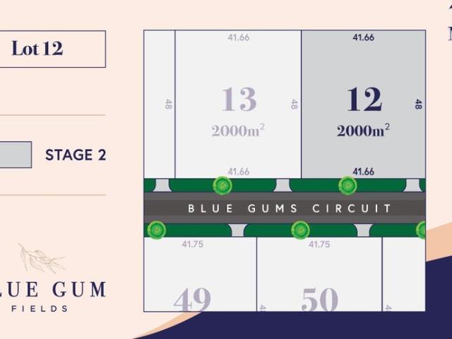 61 BLUE GUMS CIRCUIT STAGE 2 BLUE GUM FIELDS ESTATE SPACE, LIFESTYLE & CONVENIENCE