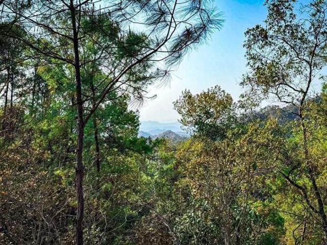 621.8 Hectáreas en Venta Bosque Mesófilo, UMA y Vista a Bahía de Banderas | Reserva Natural en Venta