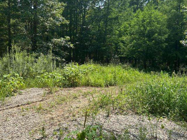 6227 Guinn Road