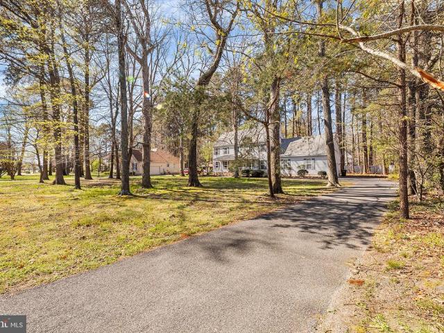 6262 White Cove Drive