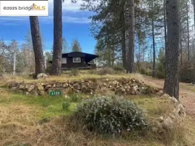 6294 DOGTOWN RD, COULTERVILLE, CA 95311