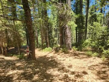 6296 MERRY WAY, CLIPPER MILLS, CA 95930