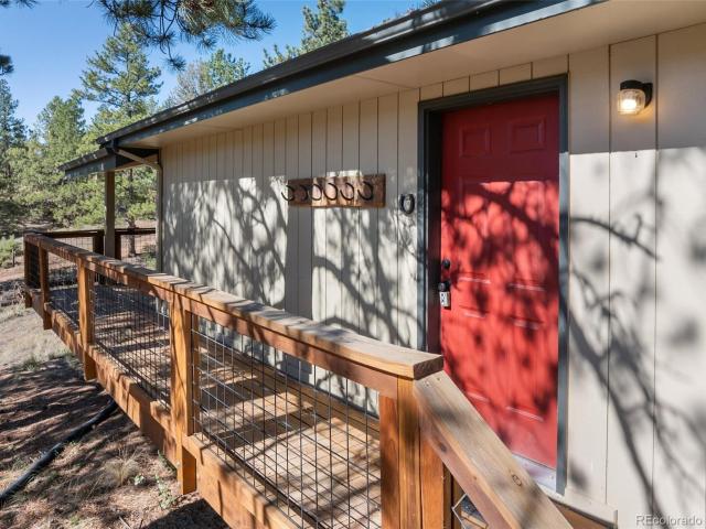 62 White Trail