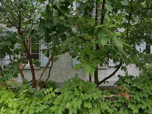 62 m2 apartment for rent in Bern Mittelland