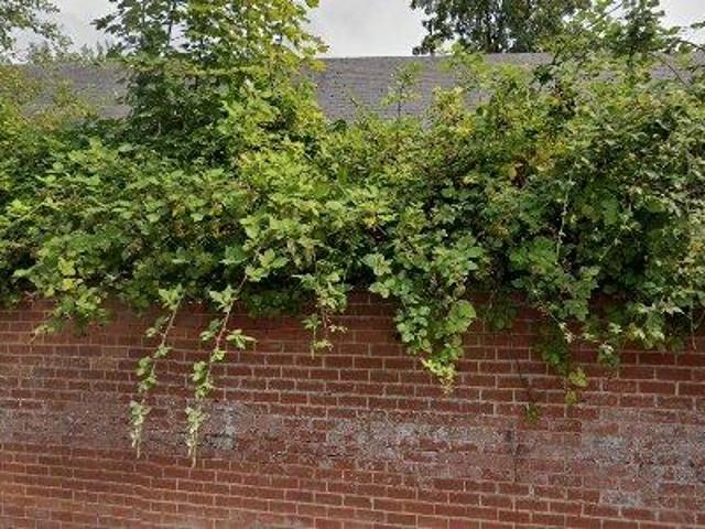 62 m2 apartment for rent in Péruwelz