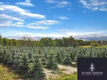 62 Range Road, Rural Grande Prairie No. 1, County Of, AB, T0H.