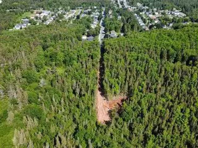 62C Tamarack Avenue, Pasadena, NL, A0L 1K0 vacant land for s.