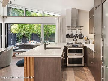 630 W Hallam Street, #1, Aspen, CO