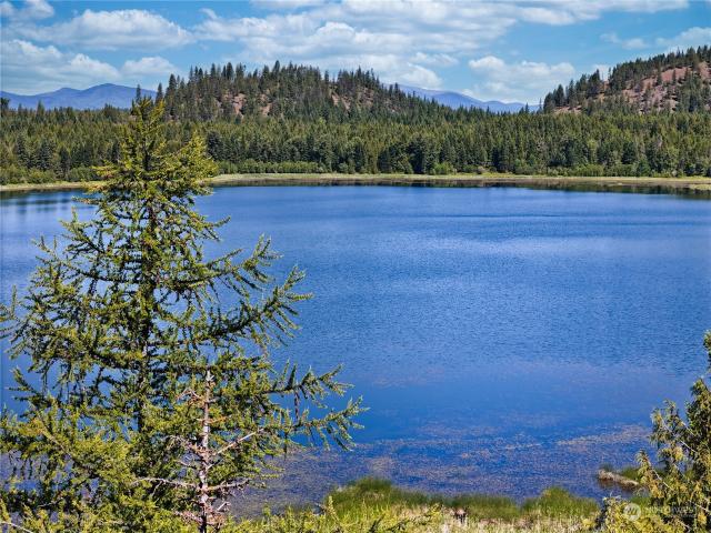631 Deeter Rd, Newport, WA 99156 | MLS #2260