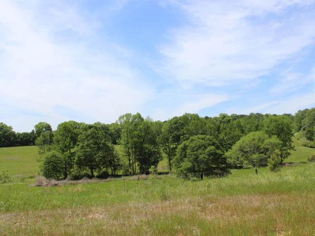 6338 Co Rd 813