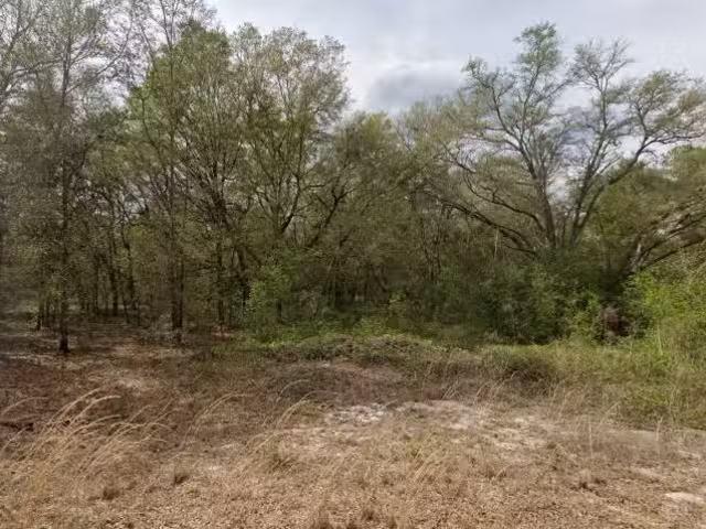 633 Guy Ave, Interlachen, FL 32148 MLS R11128174
