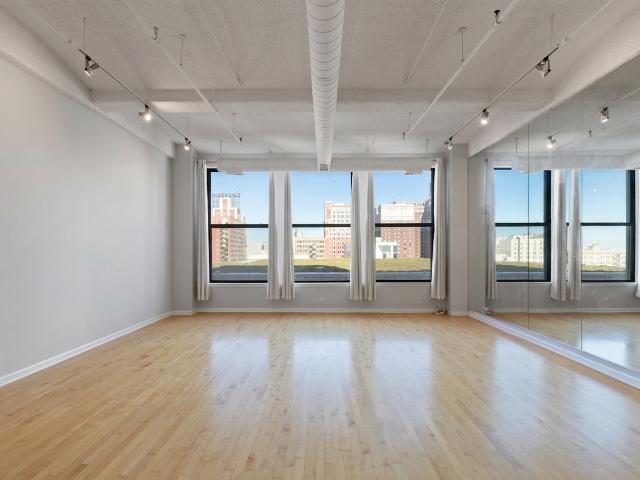 633 s plymouth court # 1207