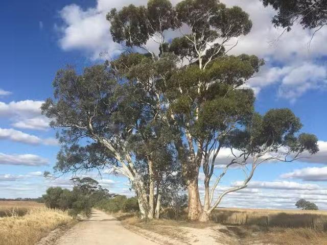6369 Quairading Road, Cunderdin, WA 6407