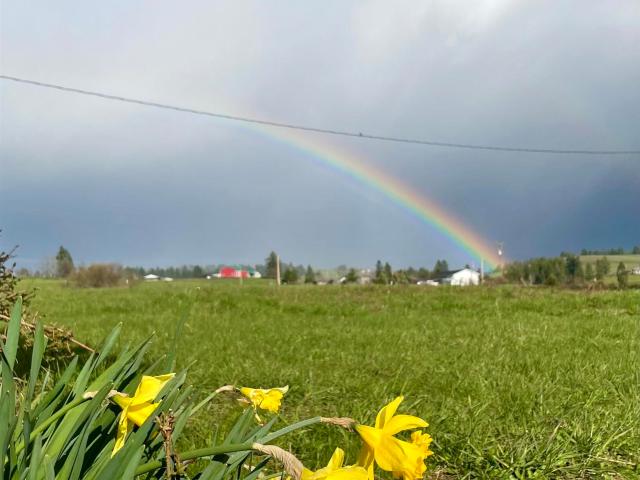 637 Leitch Creek Rd + 5AC Touch of Country Estates