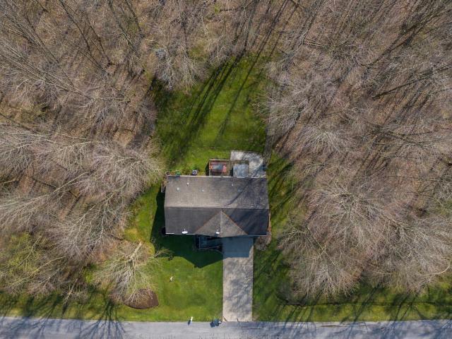 639 Daffodil Drive