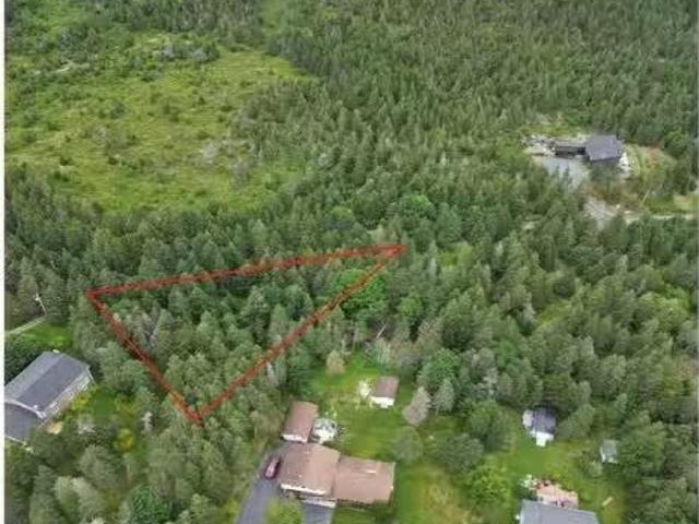 67 85 Kildare Road, Harbour Grace, NL, A0A 3M0 vacant land.