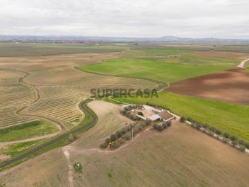 67 Hectares de Terreno de Regadio | Caia, São Pedro e Alcáçova Elvas