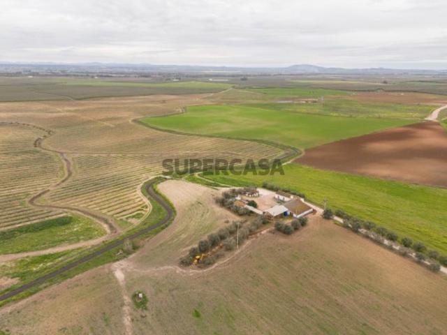 67 Hectares de Terreno de Regadio | Caia, São Pedro e Alcáçova Elvas