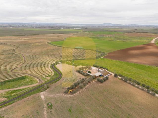 67 Hectares de Terreno de Regadio | Caia, São Pedro e Alcáçova Elvas