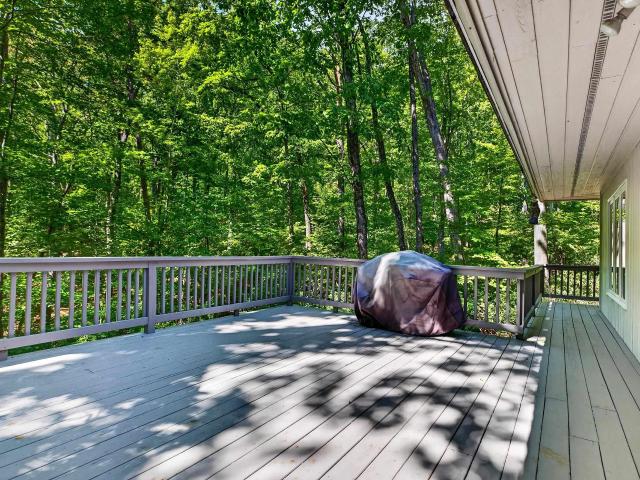 67 shingle oak ln