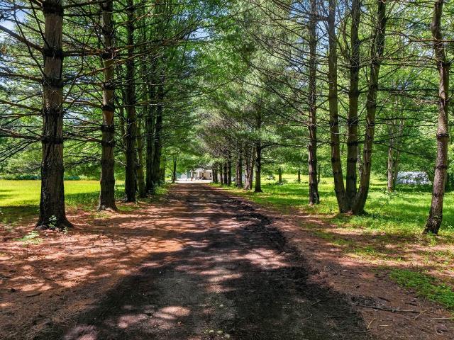 64030 Chain Lake Street