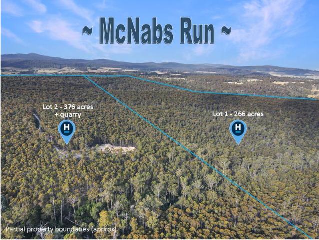 643 Acres Two Titles + Mining Lease + Timber