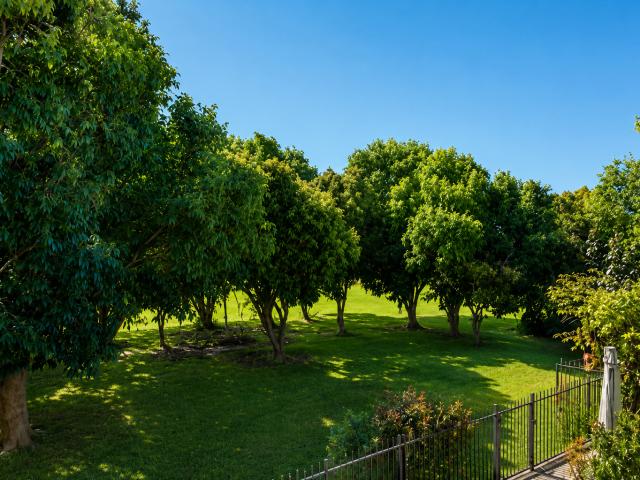 6/43 Dalton Drive, Maroochydore