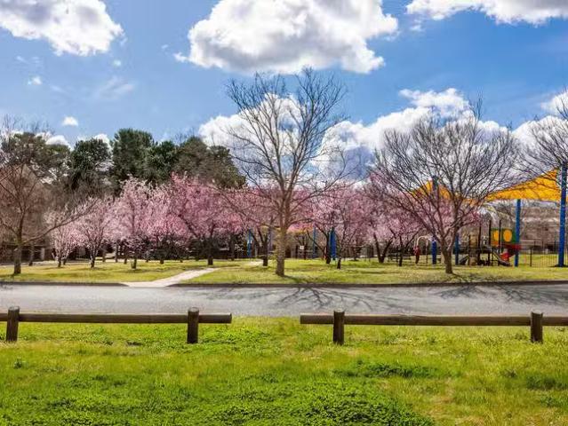 6/43 Port Jackson Circuit, Phillip, ACT 2606