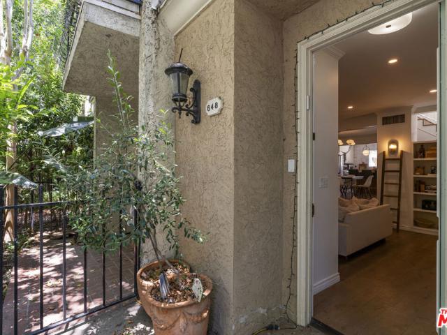 648 Wilcox Avenue