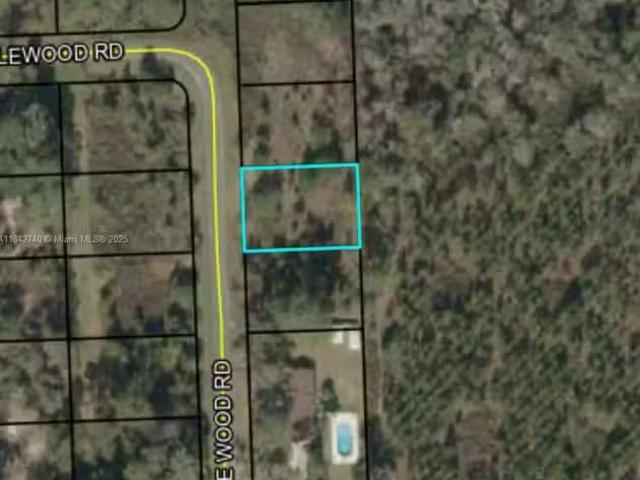 649 Pine Wood Rd, Other City In The State Of Florida, FL 320.