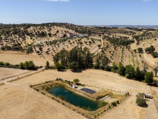 64 hectares com monte a 20km de Évora