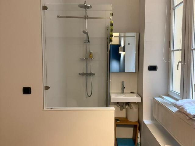 64m2 Charming appartement in the heart of Lyon, Lyon Amsterdam Apartments for Rent
