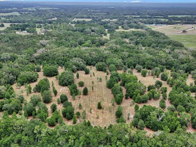 650 NE 200th Ave, Williston, FL 32696 | MLS #O6403