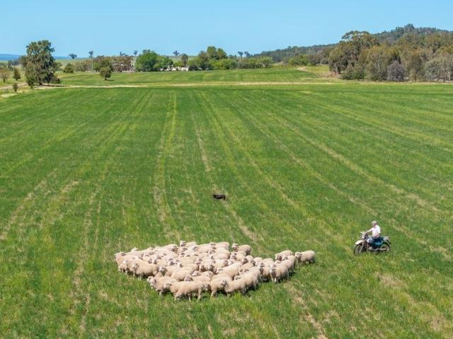 650ACRES* OF HIGH QUALITY MIXED FARMING & FATTENING COUNTRY