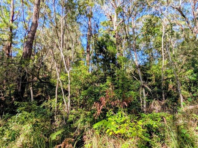 650m² Vacant Land in Central Russell Island Walk to Shops & Ferry