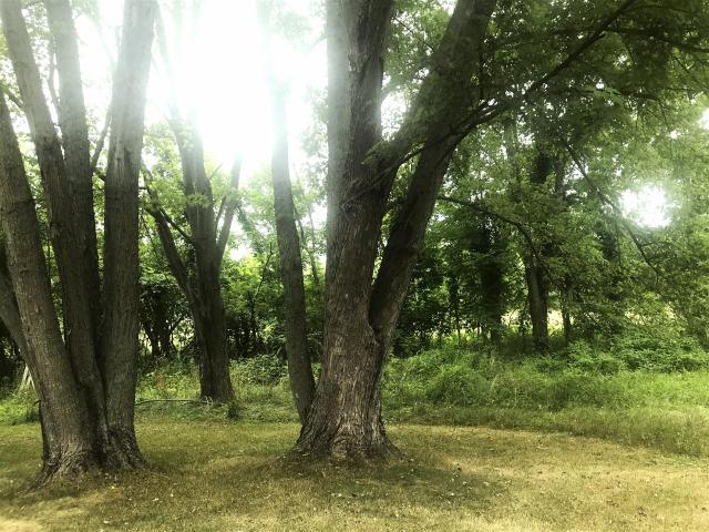 6550 / Mile Road