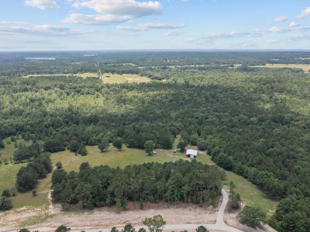 656 Vineyard View Trail, Grapeland, TX 75844 | MLS #97960