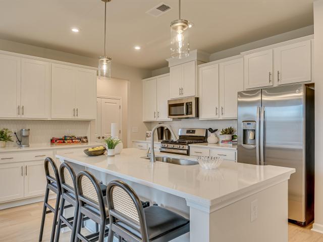 658 Griffon Drive