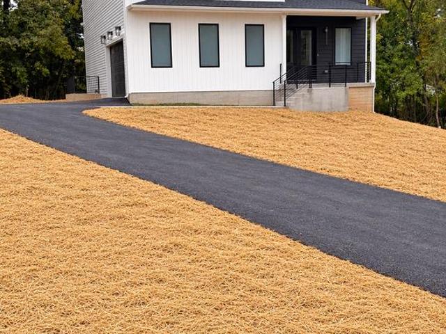 65 A Bond Avenue