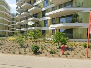 2850, Arrondissement de Anvers, Province de Anvers, Flandre