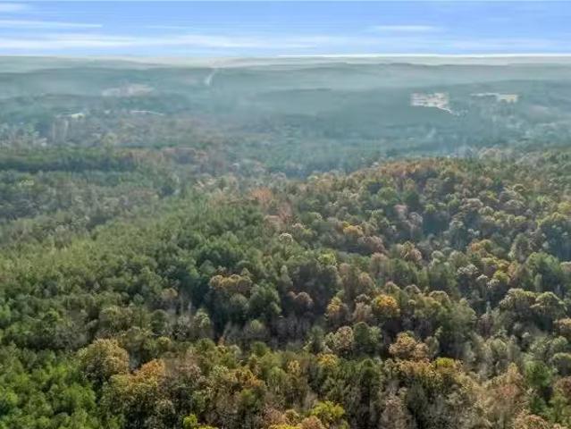 661 CEDAR TREE RD, VERNON, AL 35592