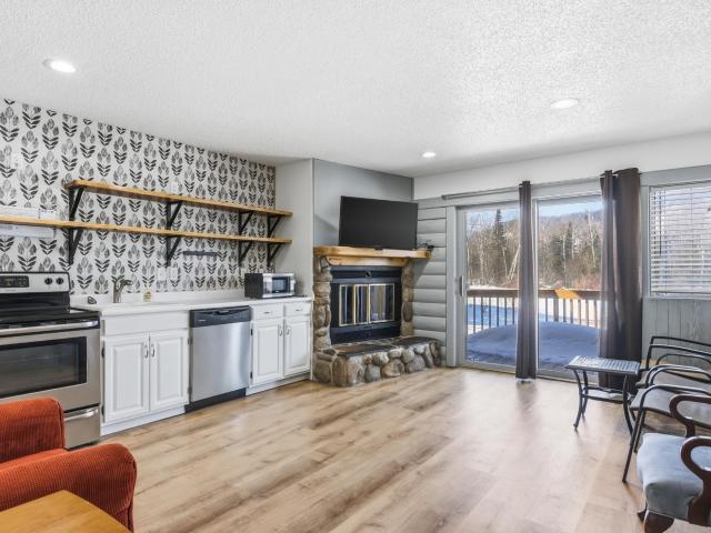 6658 Schuss Mountain Lane # 3251