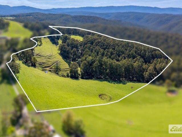 66.97 Acres of Scenic Grazing & Bushland with Stunning Baw Baw Views
