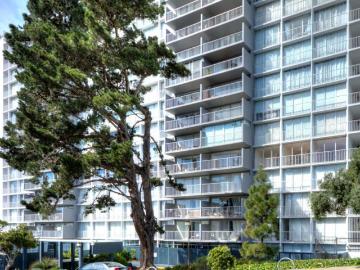 66 Cleary Court 1206